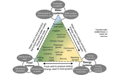 Desafíos globales y las necesidades críticas de Ciencia y tecnología de alimentos.