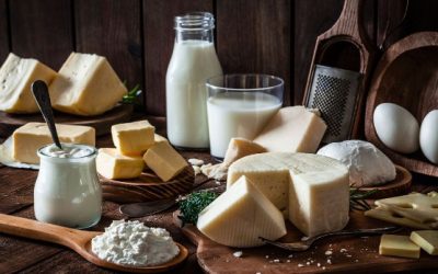 Dairy proteins bound for innovative growth as experts brush off plant-based “threat”…
